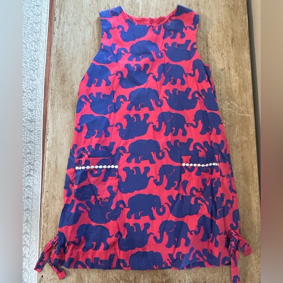 Lilly Pulitzer Other - Lilly Pulitzer Pink and Blue Dress